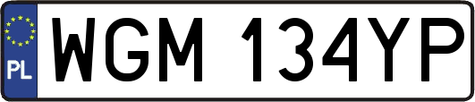 WGM134YP