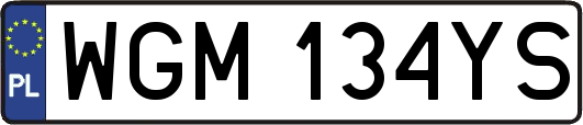 WGM134YS