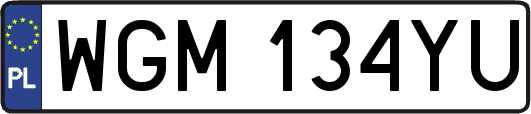 WGM134YU