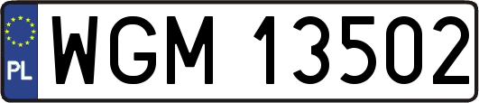 WGM13502