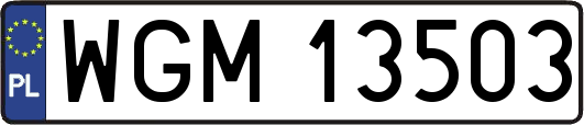 WGM13503