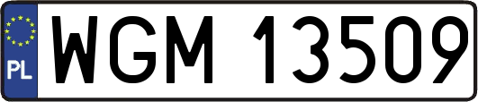 WGM13509