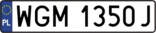 WGM1350J