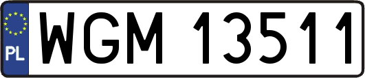 WGM13511