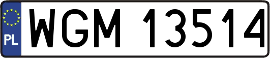 WGM13514