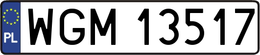 WGM13517