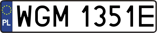 WGM1351E