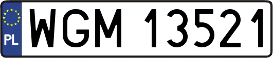 WGM13521