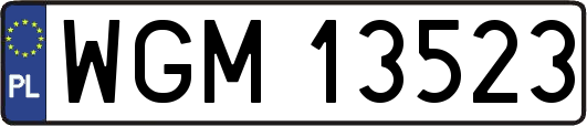 WGM13523