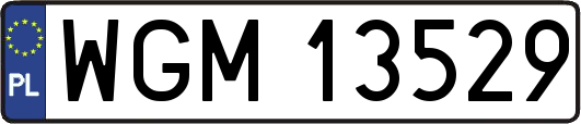 WGM13529