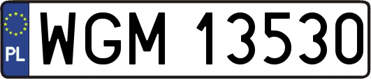 WGM13530