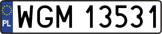 WGM13531
