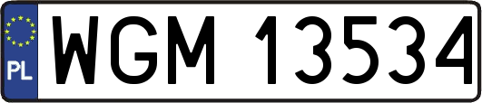 WGM13534