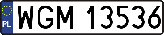 WGM13536