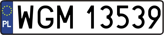 WGM13539