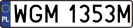 WGM1353M