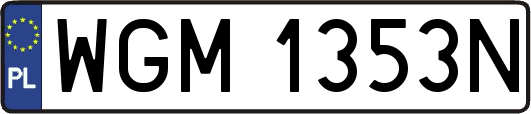 WGM1353N