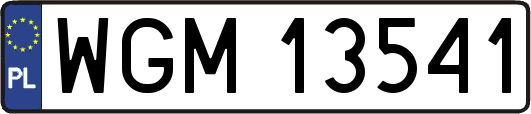 WGM13541