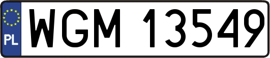 WGM13549