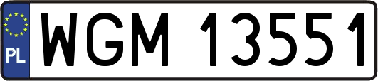 WGM13551