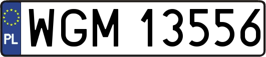 WGM13556