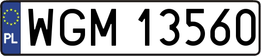 WGM13560