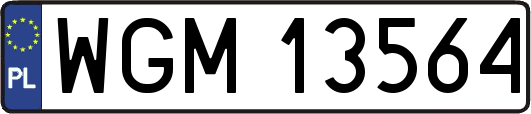 WGM13564