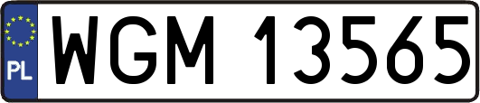 WGM13565
