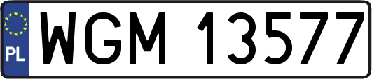 WGM13577