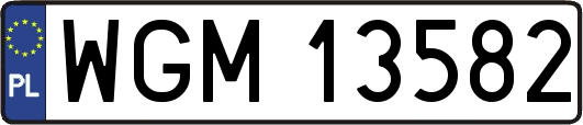 WGM13582