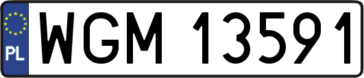 WGM13591