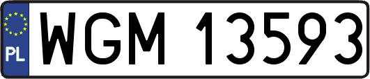 WGM13593