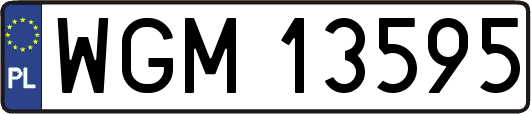 WGM13595