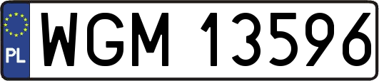 WGM13596