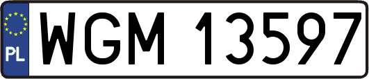 WGM13597