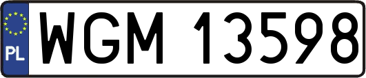 WGM13598