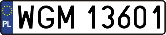WGM13601