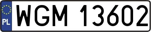 WGM13602