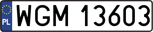 WGM13603