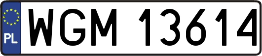 WGM13614