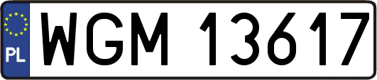 WGM13617