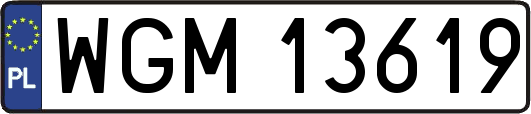 WGM13619
