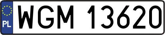 WGM13620