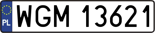 WGM13621