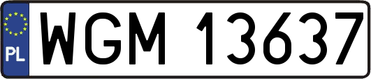 WGM13637