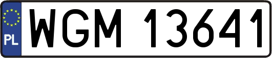 WGM13641