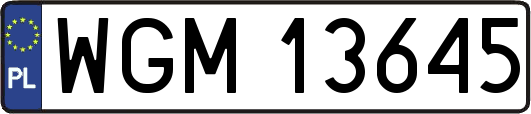 WGM13645