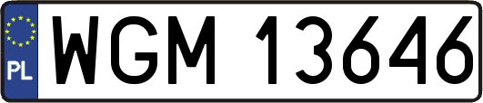 WGM13646