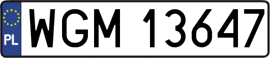 WGM13647