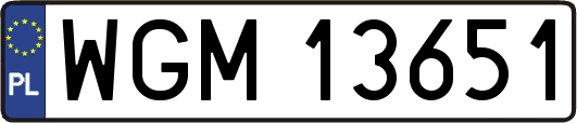 WGM13651
